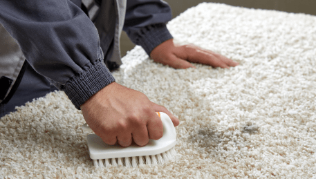 Professional Rug Cleaning Woori Yallock